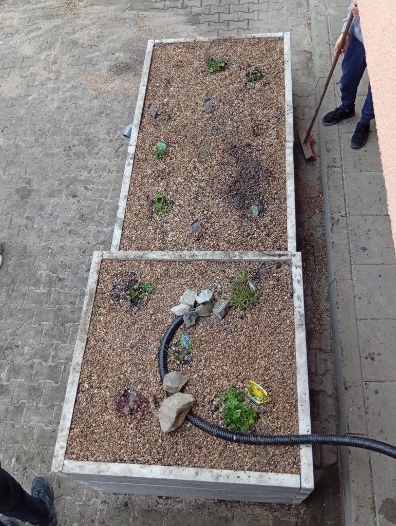 Zdjęcie z lotu ptaka ogrodu deszczowego