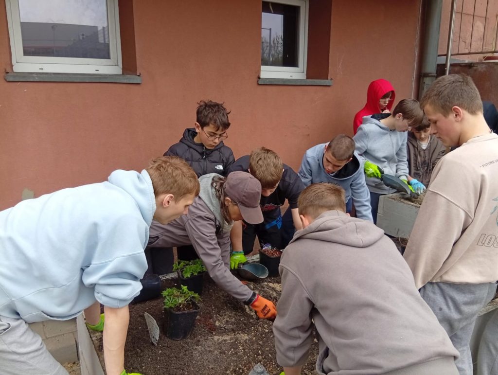 Uczniowie sadzący rośliny